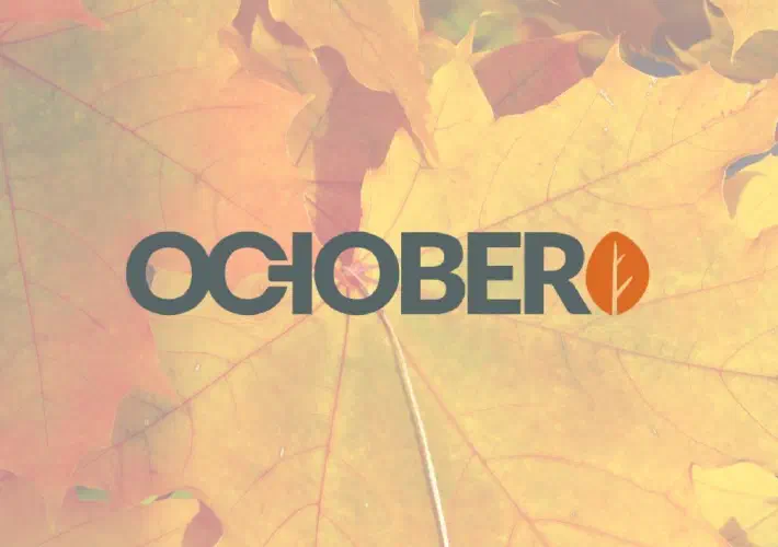 /images/posts/october-cms-header.jpg